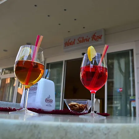 Silvie Rose Hotel Cesenatico